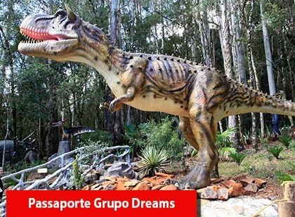 Passaporte Grupo Dreams